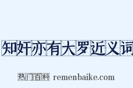 知奸亦有大罗近义词是什么意思的图片